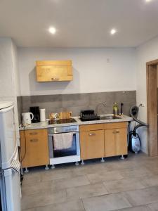 a kitchen with a stove and a sink at Burgener Burgblick in Burgen