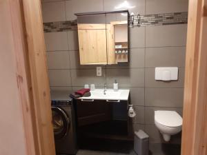 La salle de bains est pourvue d'un lavabo et d'un lave-linge. dans l'établissement Am Eulenwald, à Marpingen