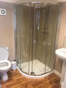 a shower stall in a bathroom with a toilet at 3 Bedroom Self-Catering Holiday Home in Steps