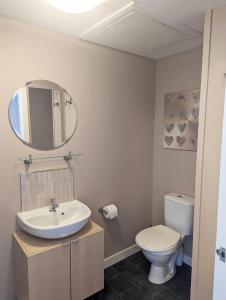 W łazience znajduje się umywalka, toaleta i lustro. w obiekcie 3 Bedroom Self-Catering Holiday Home w mieście Steps