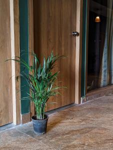 Seaside Serenity Resort في ماندريم: وضع الفخار والنبات أمام الباب