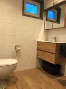 een badkamer met een toilet, een wastafel en een spiegel bij triphousing red in Schalkwijk