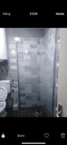 a bathroom with a shower and a toilet at Jezero in Vrnjačka Banja +16 photos