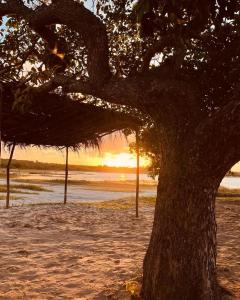 Afbeelding uit fotogalerij van Granja Dona Dora in Nísia Floresta +13 foto's