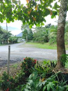 a road with a tree and some flowers at Palm house Arenal in Fortuna