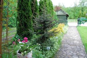 un jardín con un árbol de Navidad y algunas flores en Willa Pod Banderą, en Zakopane