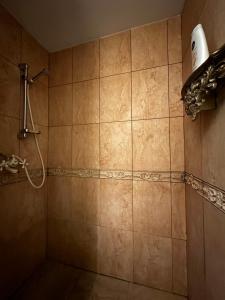 a bathroom with a shower with a blow dryer on the wall at Cosy apartment in Kaunas