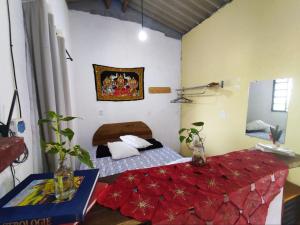 a bedroom with a bed with a red blanket at Chalé dos Lírios in Alto Paraíso de Goiás