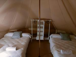 kilka łóżek w namiocie w obiekcie Glamping Atlántico w mieście Ferrol +18 zdjęć