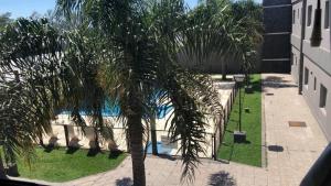 a palm tree in front of a swimming pool at Hotel Rincon Del Este in General Deheza