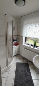 a bathroom with a shower and a sink at Sauerland Alm Winterberg 5 in Hallenberg