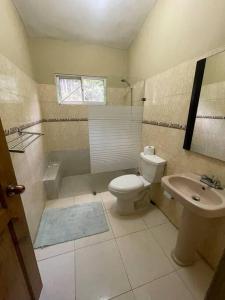 ein Bad mit einem WC und einem Waschbecken in der Unterkunft Villa Don Manuel in Villa Altagracia