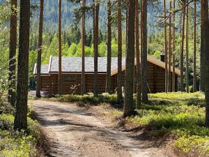 Gallery image of ElveRo Lodge in Trysil