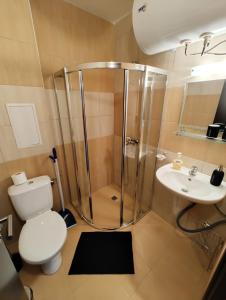 a bathroom with a shower and a toilet and a sink at Уютная квартира в комплексе Snow Lodge in Bansko