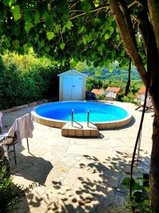 ハノーファーシュ・ミュンデンにあるFerienwohnung Auszeitの鳥のいるスイミングプール +31枚の写真