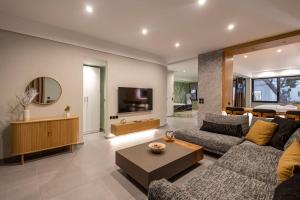 a living room with a couch and a tv at Smaragdi Luxury Jacuzzi Apartment Noho Premium Living in Athens