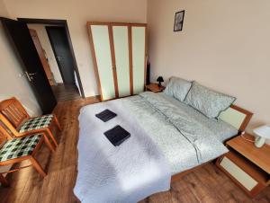 a bedroom with a large bed and a chair at Уютная квартира в комплексе Snow Lodge in Bansko