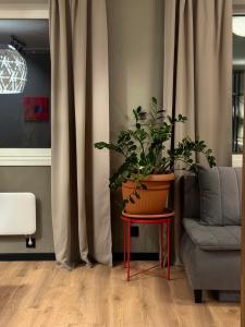 Predel za sedenje v nastanitvi Grey studio in Maardu