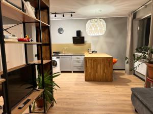 Grey studio in Maarduにあるキッチンまたは簡易キッチン