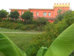 a building in the background with green plants and leaves at Agriturismo - B&B "La Funicolare" in Francavilla Marittima