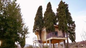 a building with a bunch of trees around it at Agriturismo La Masseria - La casa tra gli alberi in Cugnoli +7 photos