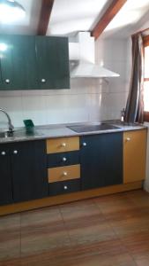 una cocina con armarios verdes y marrones y fregadero en Apartamentos Sevilla en Arroyo Frío