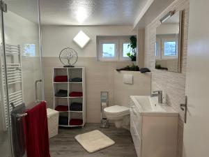 a bathroom with a toilet and a sink at Kleine Elbequelle 2 in Wolfhagen