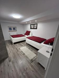 2 łóżka w pokoju z czerwonymi poduszkami w obiekcie Kleine Elbequelle 2 w mieście Wolfhagen
