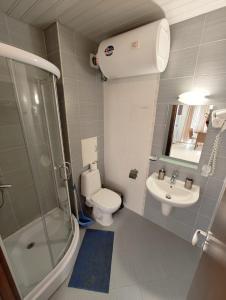 a bathroom with a toilet and a shower and a sink at Апартаменты в Belvedere in Bansko