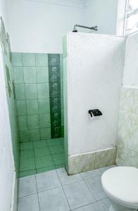 a bathroom with a shower with a toilet in it at VIJIJI HOTEL & CONFERENCE in Eldoret