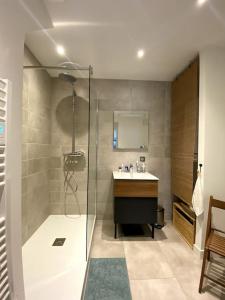 a bathroom with a shower and a sink and a mirror at Le nuage des balmes in Caluire-et-Cuire