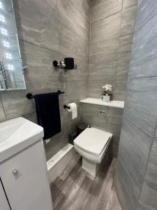 a bathroom with a white toilet and a sink at Seaside Apartment close to beach, town, station in Broadstairs