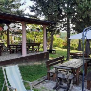 Giardino di Vila Davidovic-Fruska gora