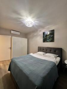 een slaapkamer met een bed met een licht aan het plafond bij BpHomes in Boedapest