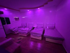 a purple room with beds and couches in it at شاليه مجهز بالكامل مسبح وملعب و حديقه هادئه بضباء in Ḑubā