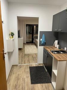 een keuken met een aanrecht en een kamer met een keuken bij Isaak Appartement Harmonie in Küssaberg