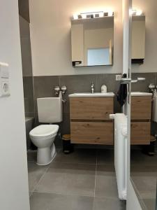 een badkamer met een toilet, een wastafel en een spiegel bij Isaak Appartement Harmonie in Küssaberg