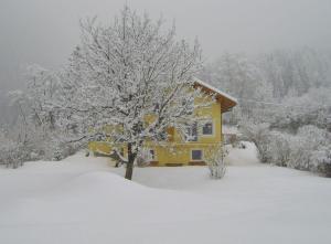 una casa amarilla con un árbol en la nieve en Ruhige Ferienwohnung in Feld Am See mit Privatem Garten, en Feld am See