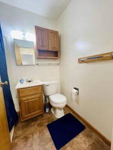 een badkamer met een wit toilet en een wastafel bij Carriage Hill Apartment #11 in Whitewater