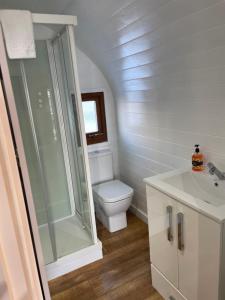 a bathroom with a toilet and a sink at Highland Stays - The Oaks Studio Pod in Fort William