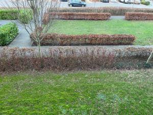 a garden with grass and bushes and a sidewalk at Cosy two bedrooms flat suitable for a short trip in Portsmouth