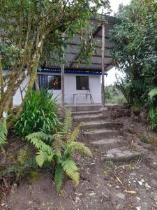 a house with stairs leading up to it at Acogedora cabaña entre las montañas de La Calera- Colombia in La Calera