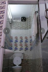 y baño pequeño con aseo y ducha. en Hotel Pari, en Jalandhar