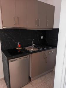a kitchen with a sink and a counter top at Charoula's Apartments in Syvota