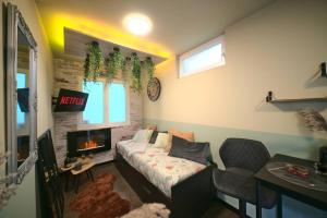 ein Wohnzimmer mit einem Sofa und einem Kamin in der Unterkunft Littleparadise jacuzzi à 5 minutes du centre ville in Mulhouse