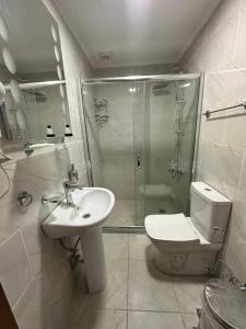 a bathroom with a toilet and a sink and a shower at Gür Royal Suit Aparts in Istanbul