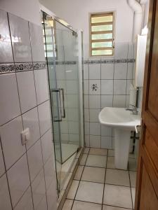 a bathroom with a shower and a sink at Marcus972 in Sainte-Luce