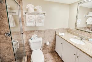een badkamer met een toilet, een douche en een wastafel bij Ravishing Oceanview Room 2nd Flr in Pawleys Island