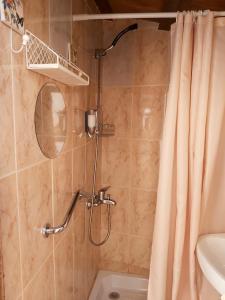 een douche in een badkamer met een douchegordijn bij ALOJAMIENTO TURISTICO LAS SOLANERAS in Solana del Pino