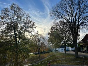 a person walking down a street next to trees at Ferienwohnung im Usseltal - Monheimer Alb - Altmühltal - Familie Geyer - Daiting in Monheim